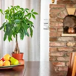 Sea Horizon فيلة سكوبيلوس تاون